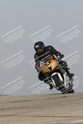 media/Feb-10-2023-TrackDaz (Fri) [[827c11d241]]/C Group/1245pm (Outside Grapevine)/